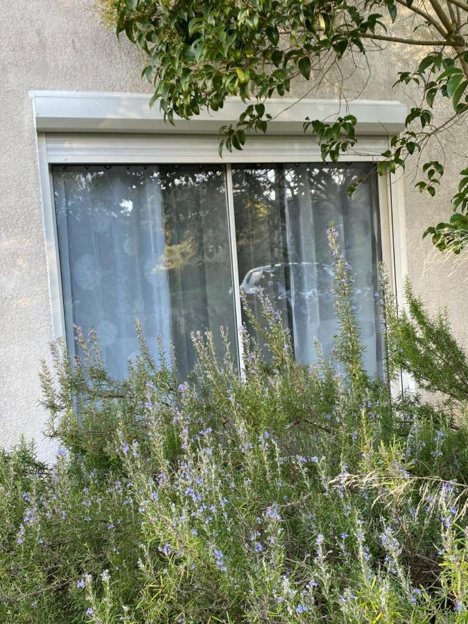 Mas Des Tournevents Bed & Breakfast Lezignan-Corbieres Luaran gambar