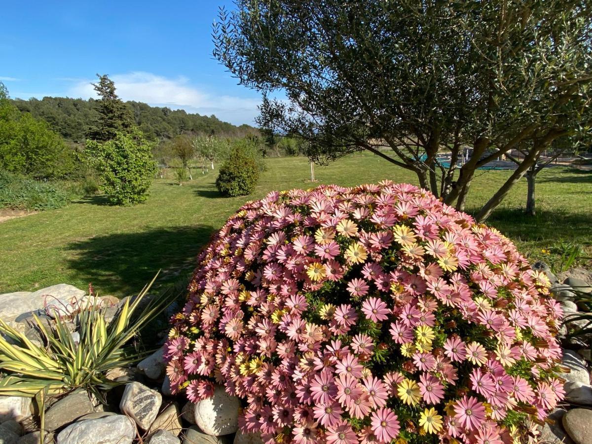 Mas Des Tournevents Bed & Breakfast Lezignan-Corbieres Luaran gambar