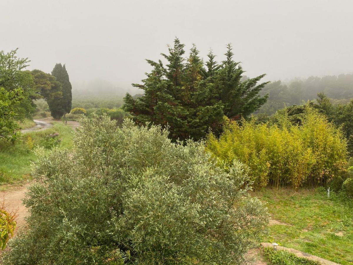 Mas Des Tournevents Bed & Breakfast Lezignan-Corbieres Luaran gambar