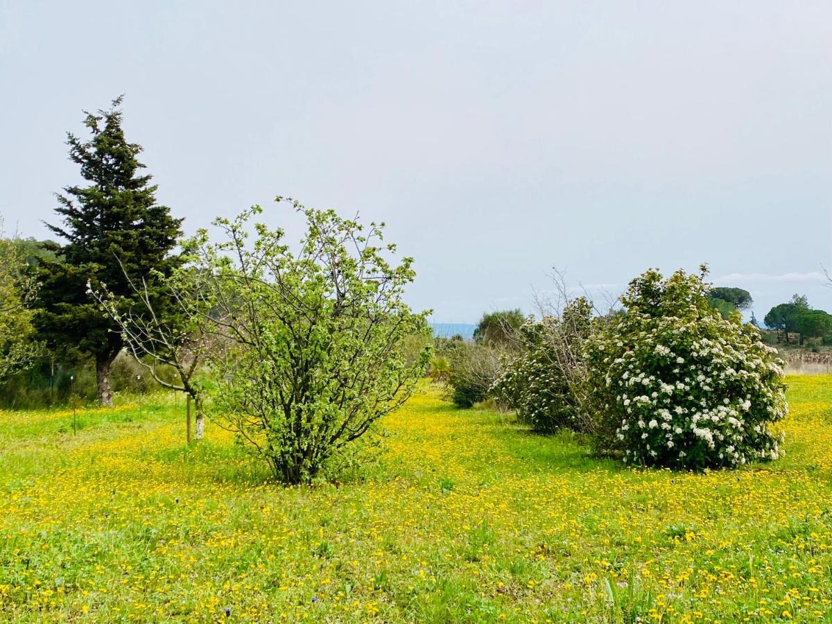Mas Des Tournevents Bed & Breakfast Lezignan-Corbieres Luaran gambar