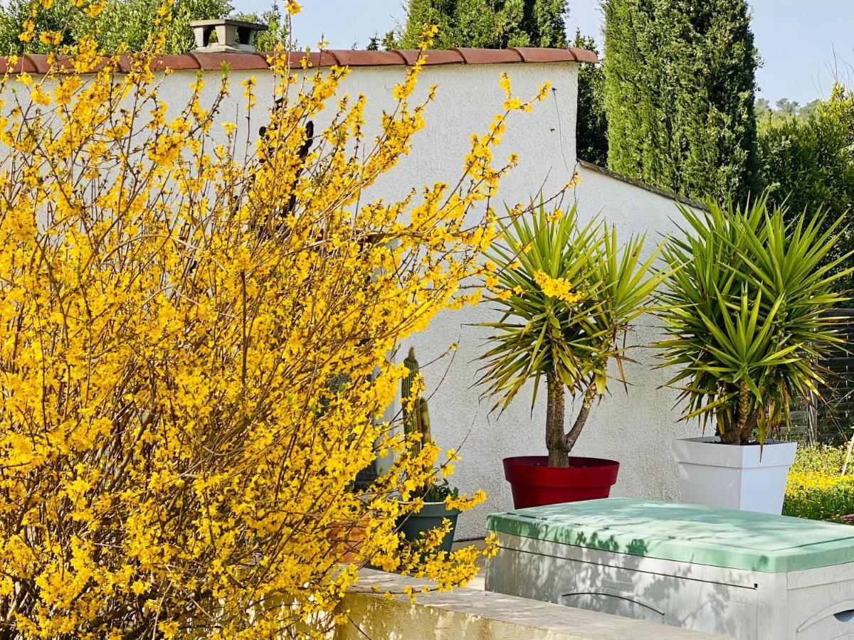 Mas Des Tournevents Bed & Breakfast Lezignan-Corbieres Luaran gambar
