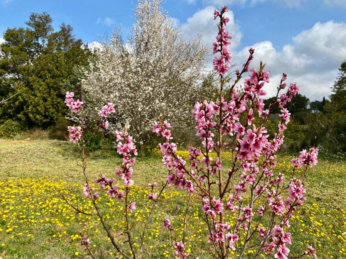 Mas Des Tournevents Bed & Breakfast Lezignan-Corbieres Luaran gambar